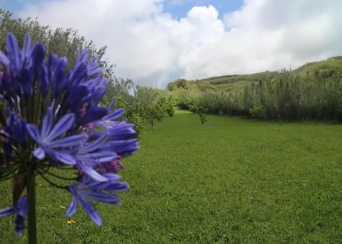 Casa Catita 199 Rral Lejlighed